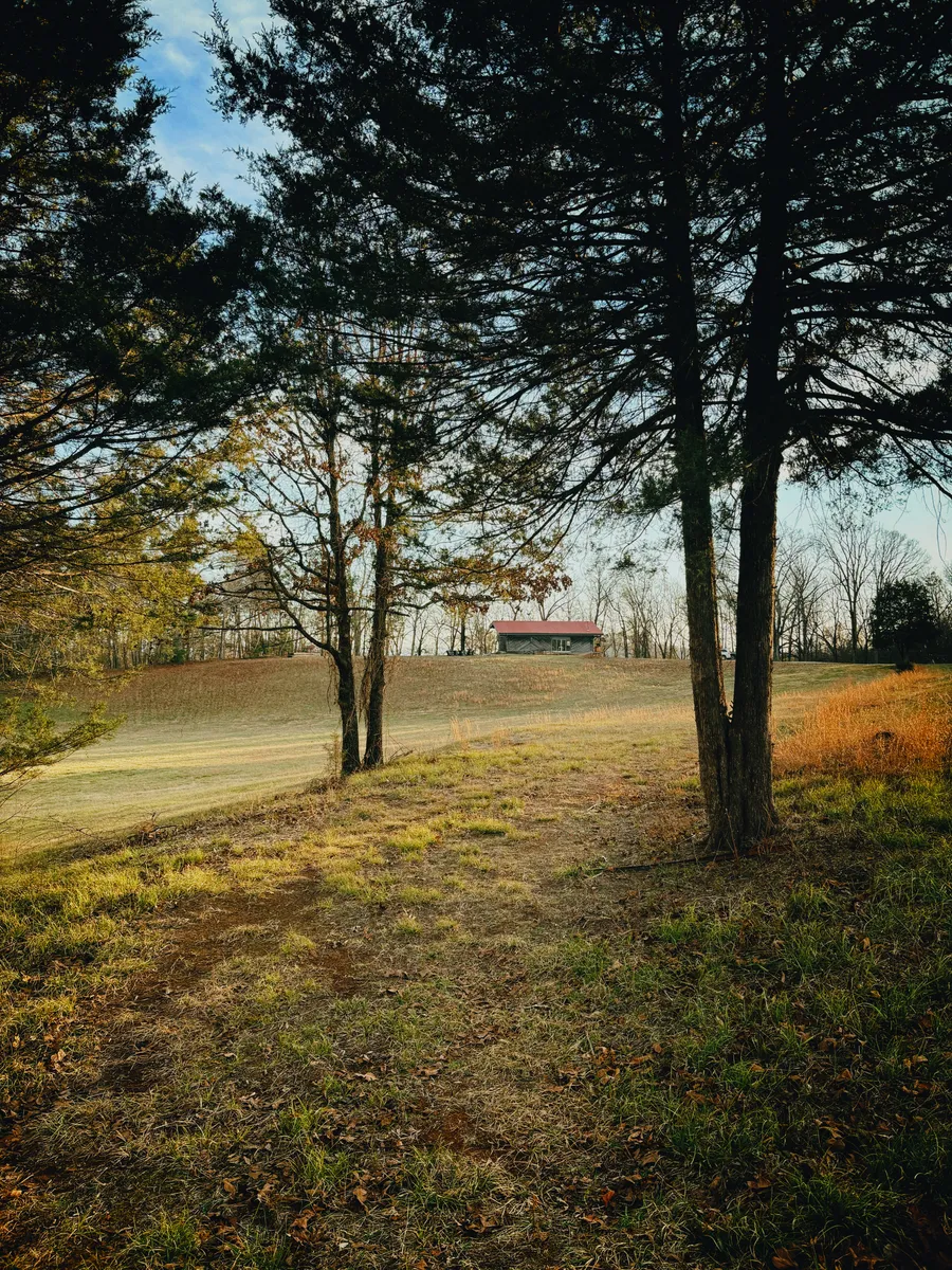 The barn on its hilltop in low golden-hour light
