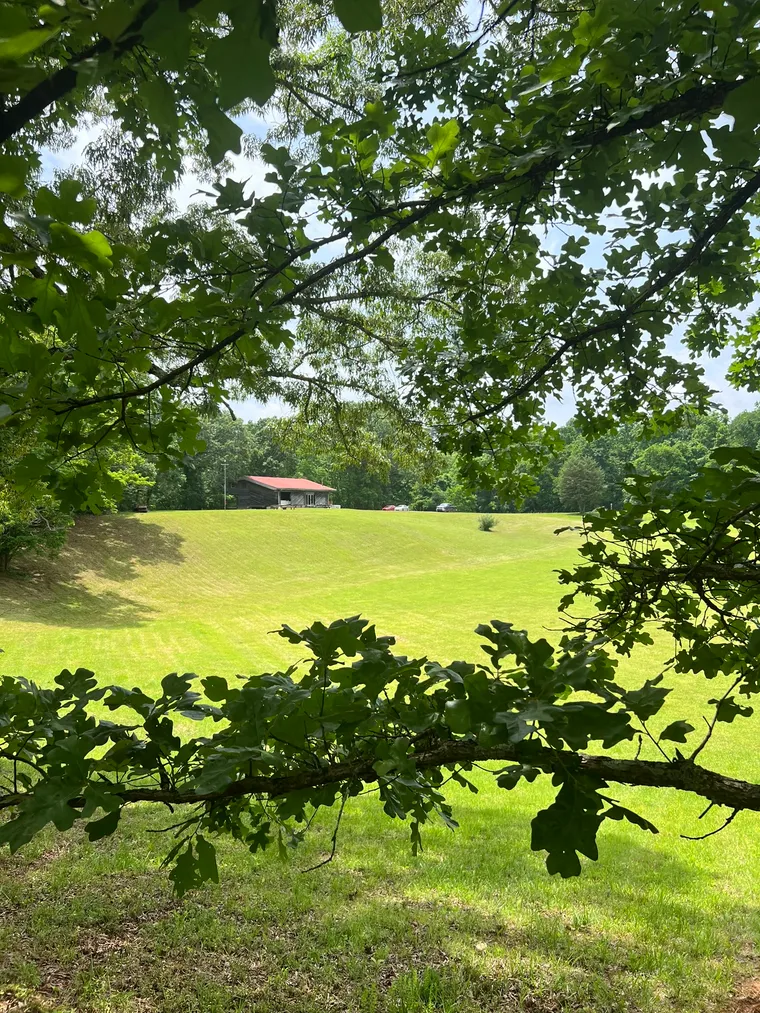 The barn framed by the branches of a large oak in daylight