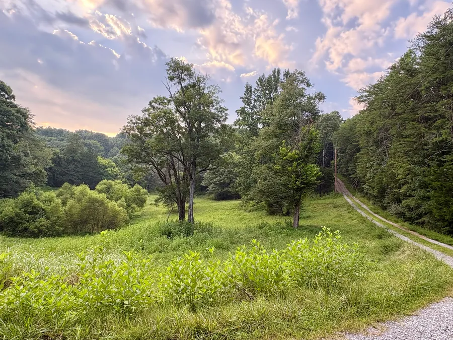 The lower pasture with a mown track running up the hillside under an evening sky