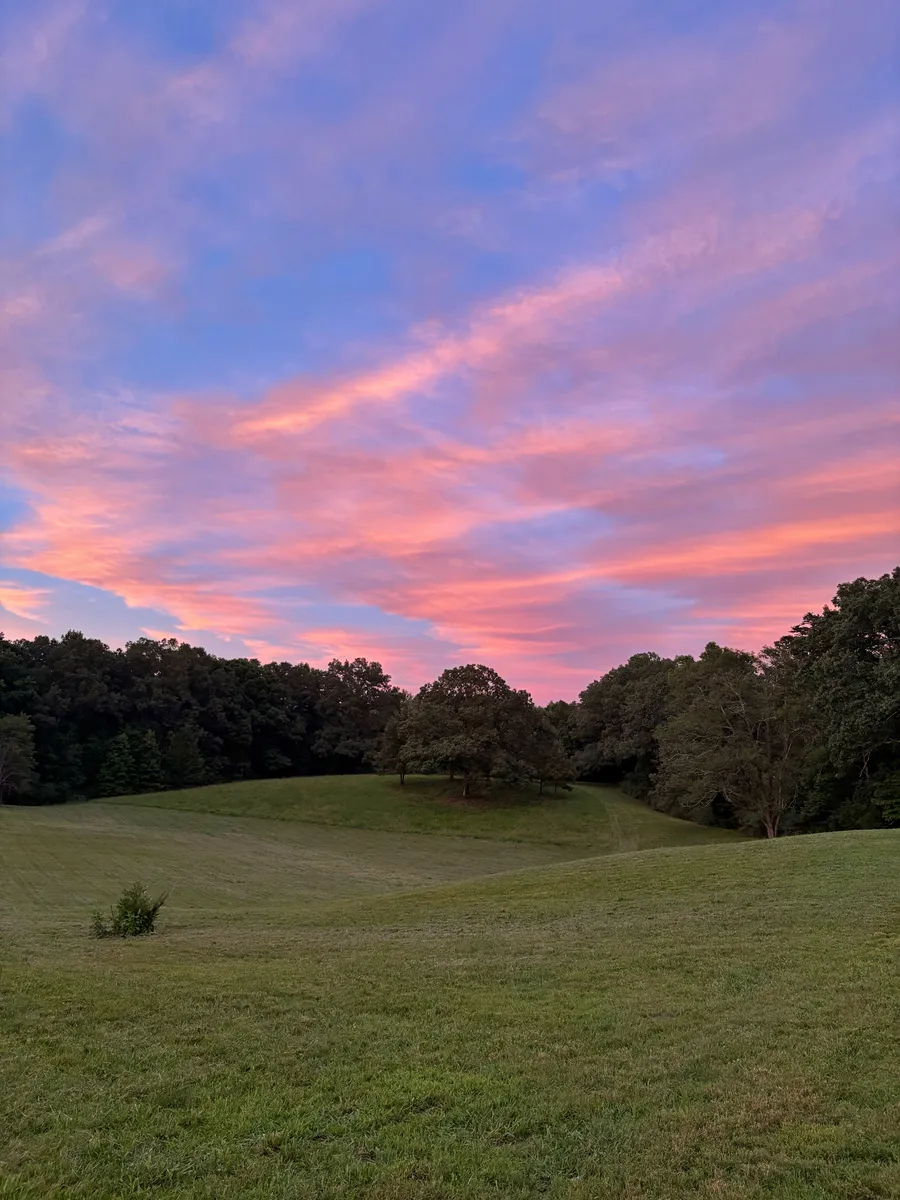 Pink and orange sunset light spreading across the sky above an open field