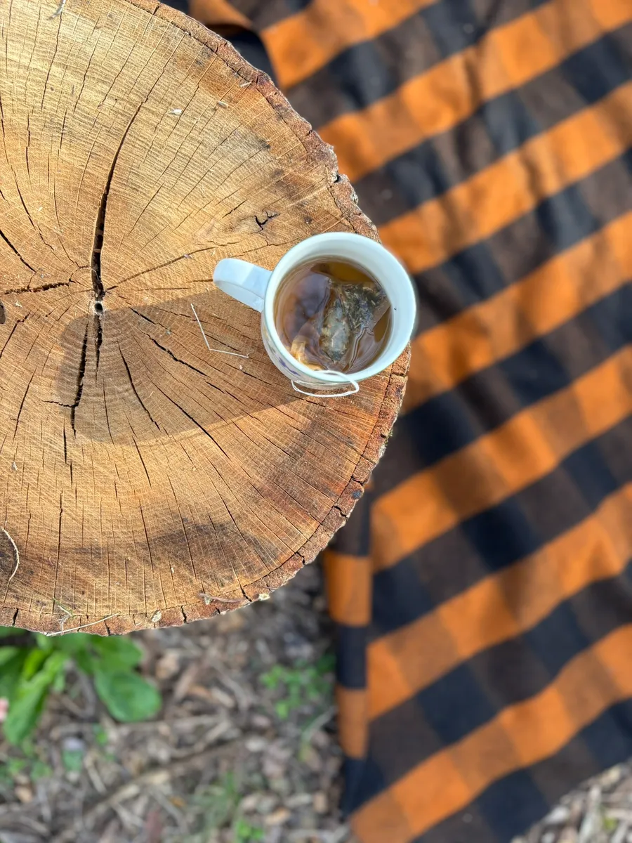 A cup of tea resting on a tree-stump table outdoors
